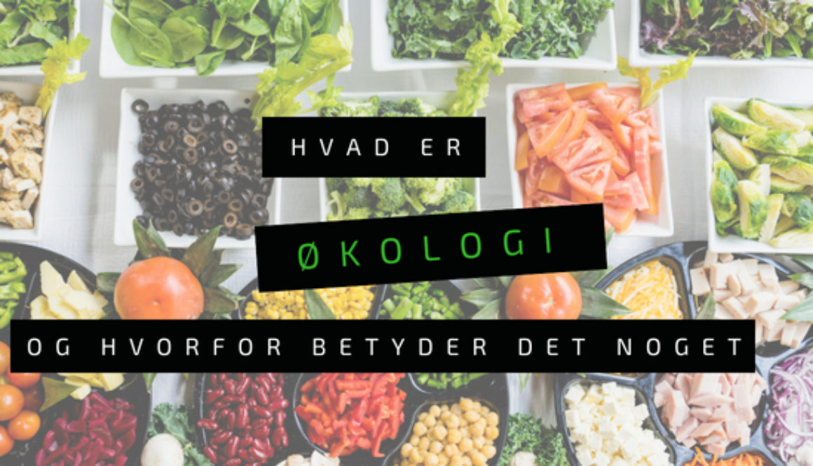 hvad er økologi og hvorfor betyder det noget